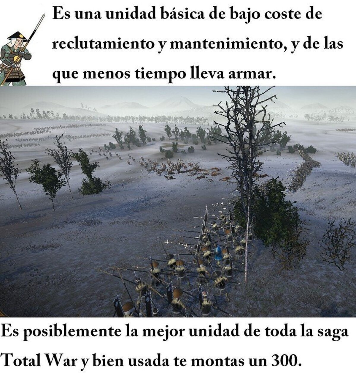 El muro de lanzas con los arqueros detrás era la formación básica
