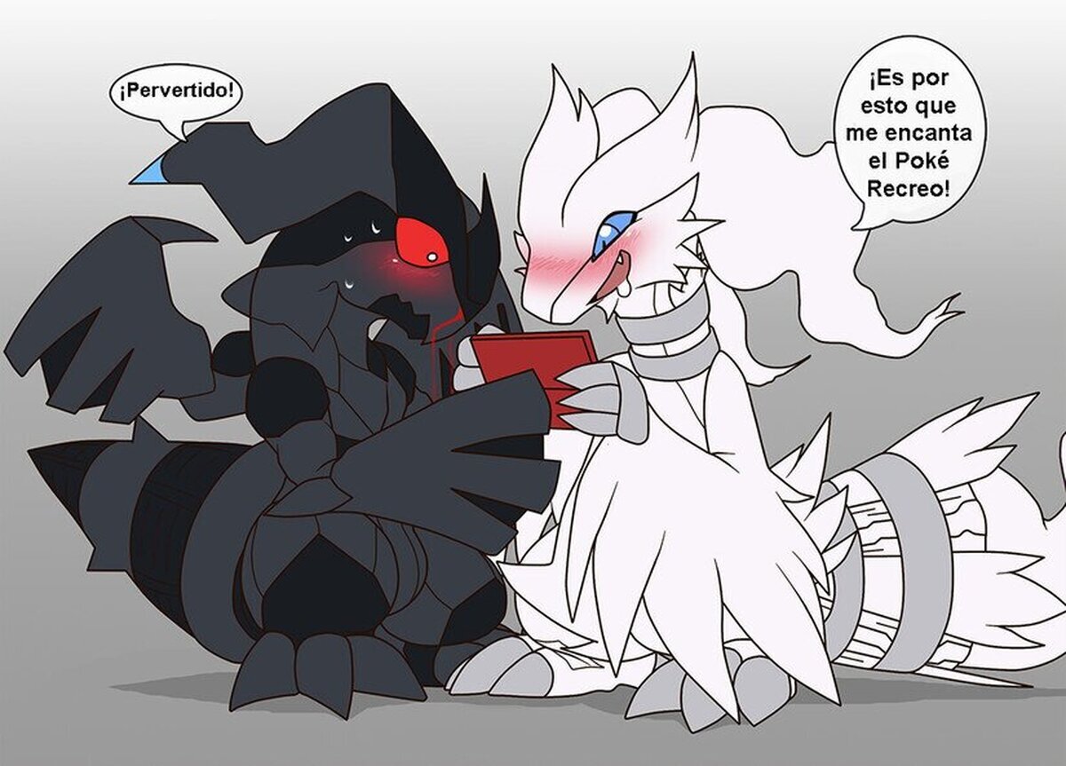 Reshiram, eres un pervertido... aunque, Zekrom, ese chorro de sangre te delata.