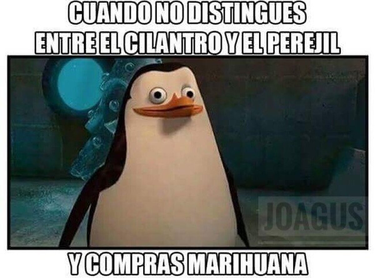 Típica confusión...