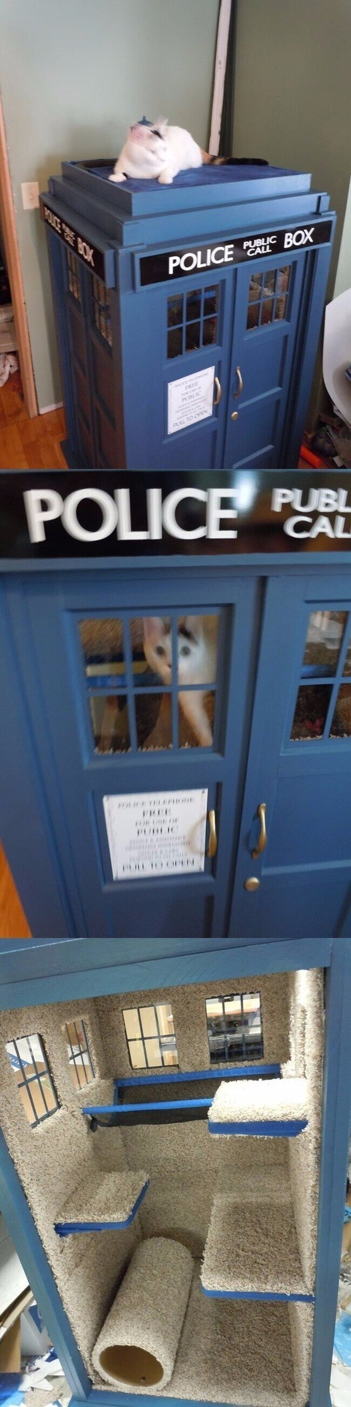 El mejor regalo para los gatos fans de Dr.Who