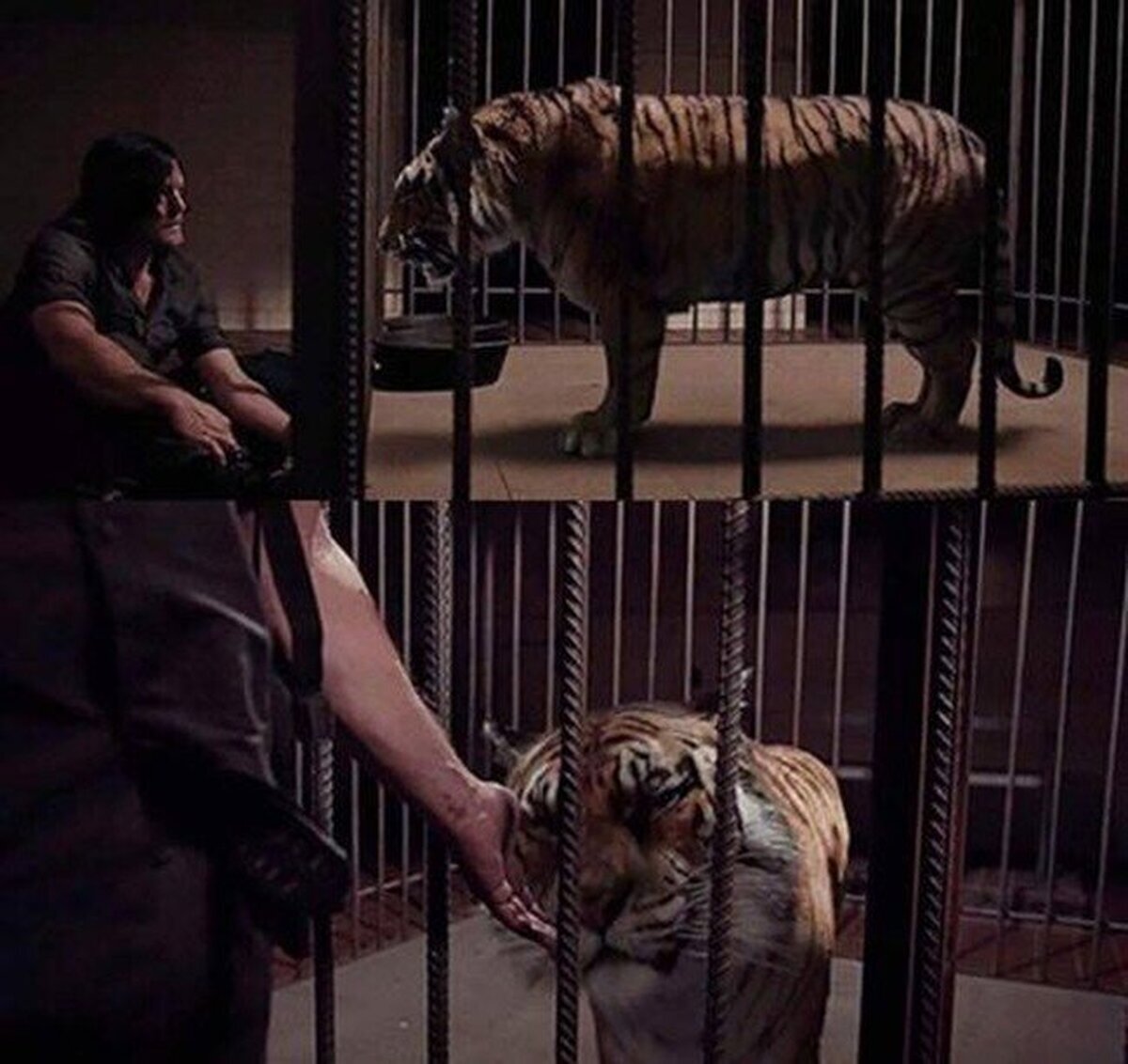 Shiva es una fangirl más de Daryl