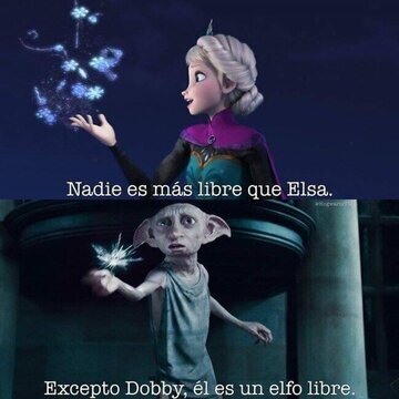 dobby muerto