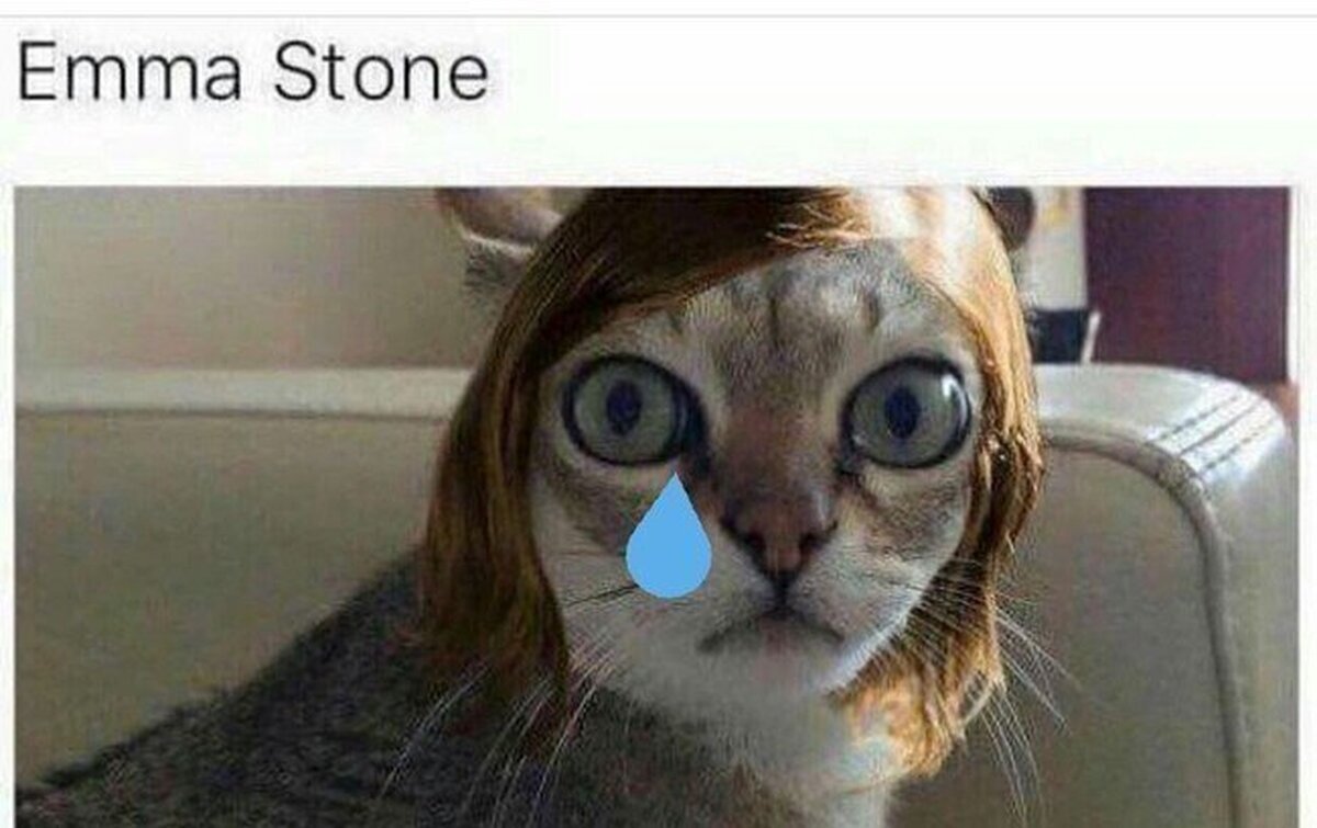 Si Emma Stone no hubiese ganado el Oscar