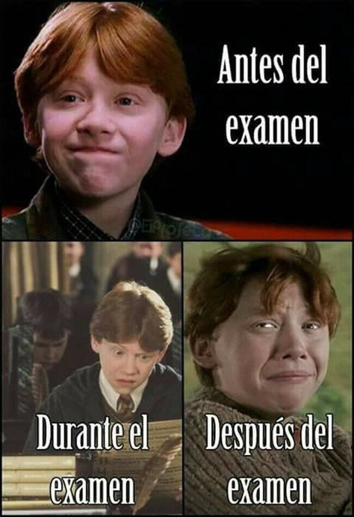 Las tres etapas de la tortura
