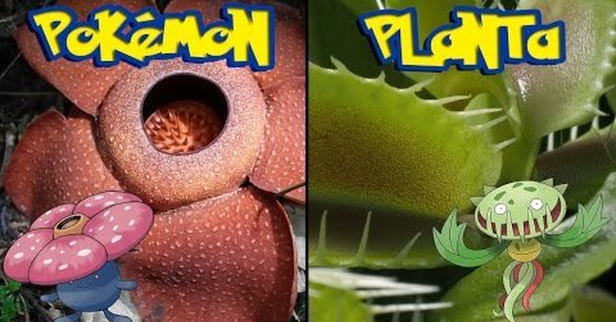 Pokémon planta en el mundo real
