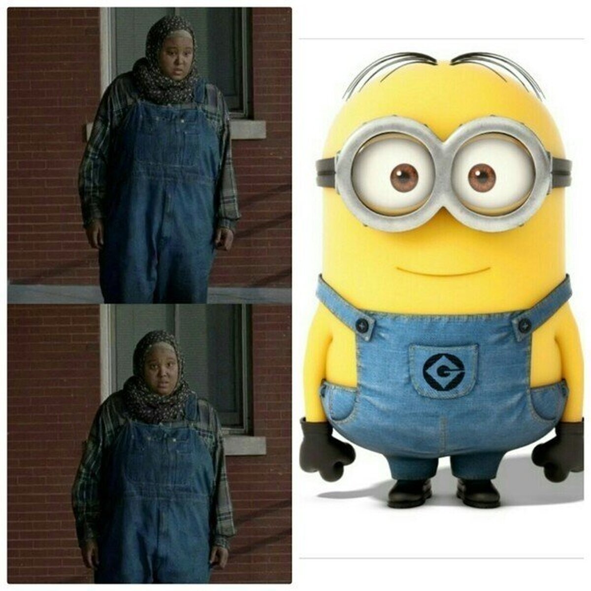 Sabía que me sonaba de algo