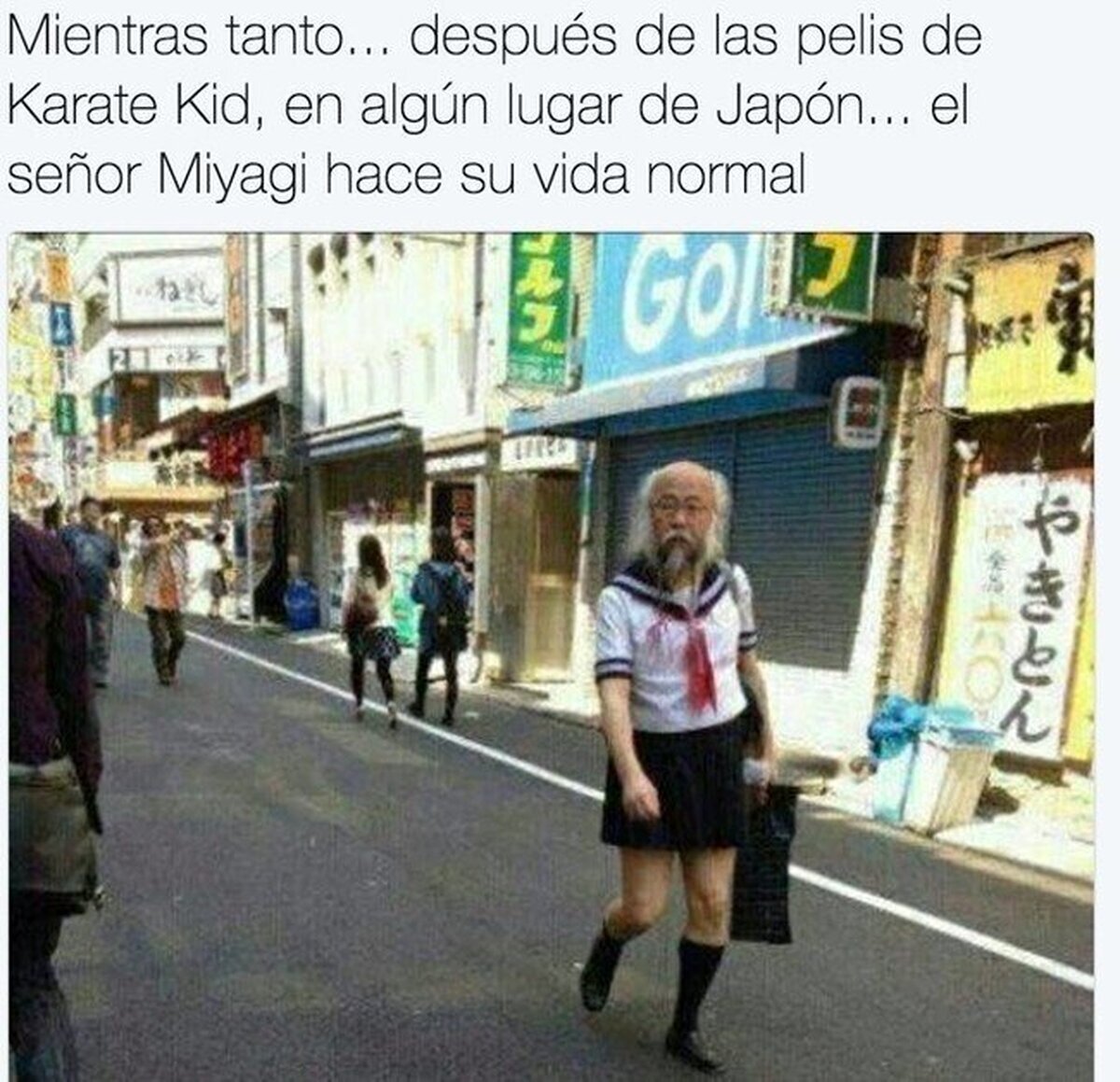 El fabuloso Señor Miyagi