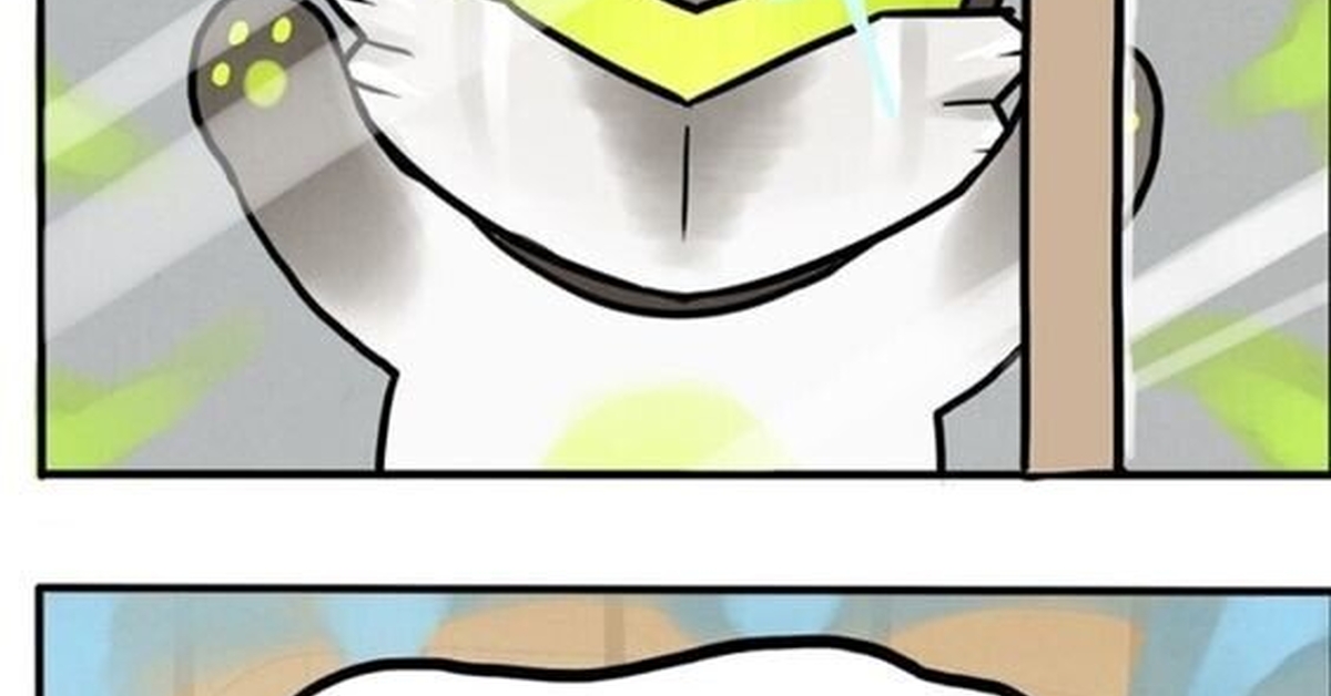 El día que Genji cat conoció a Hanzo cat. Por The Pigeon Gazette