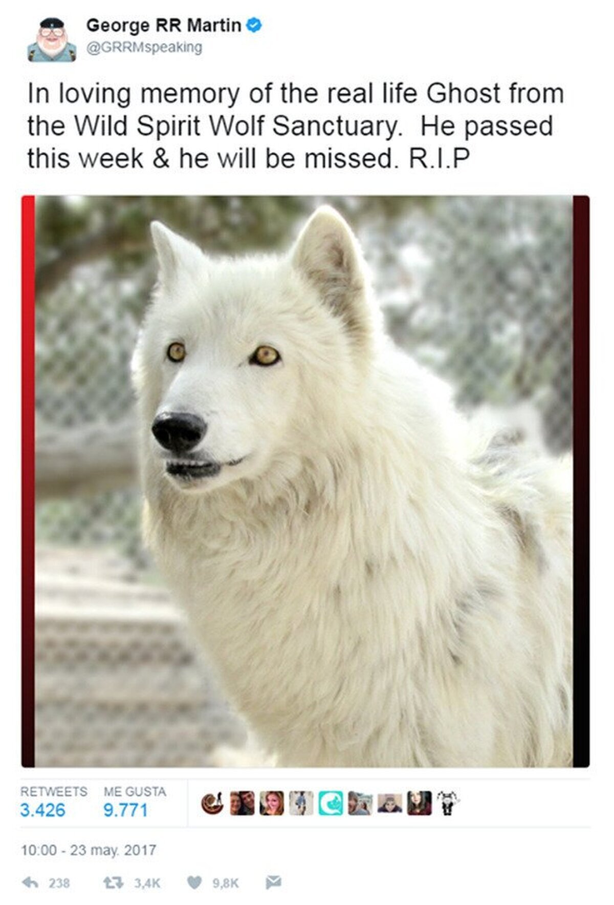 «En la amada memoria del verdadero Fantasma del Santuario 'Wild Spirit Wolf'. Falleció esta semana