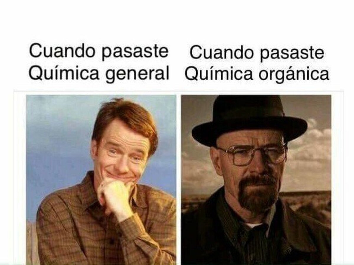 Y te vuelves todo un experto