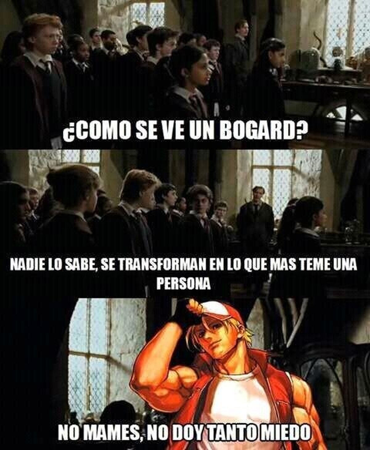 Creo que Terry es la peor pesadilla de Geese