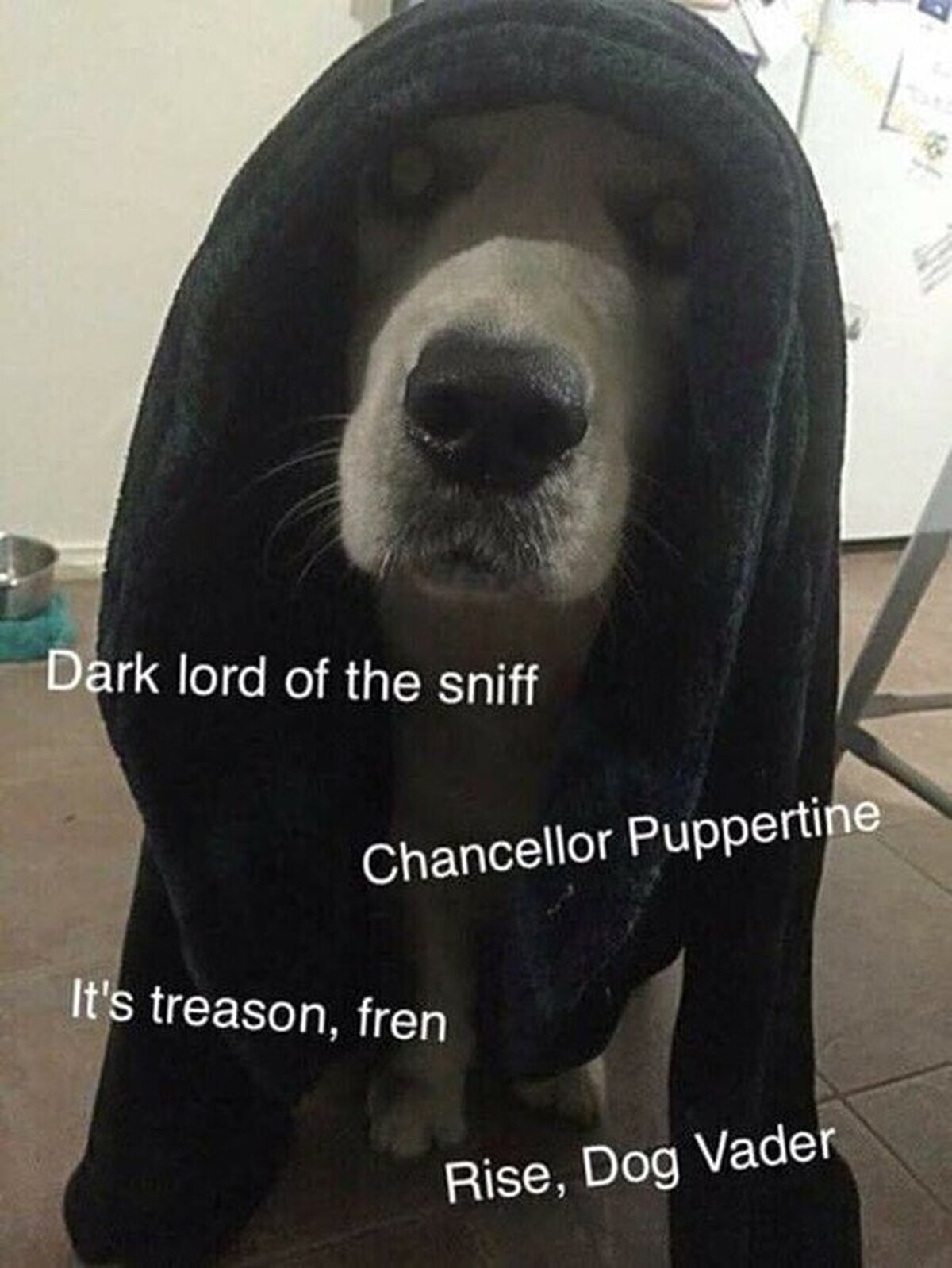 El emperador más malo de todos 