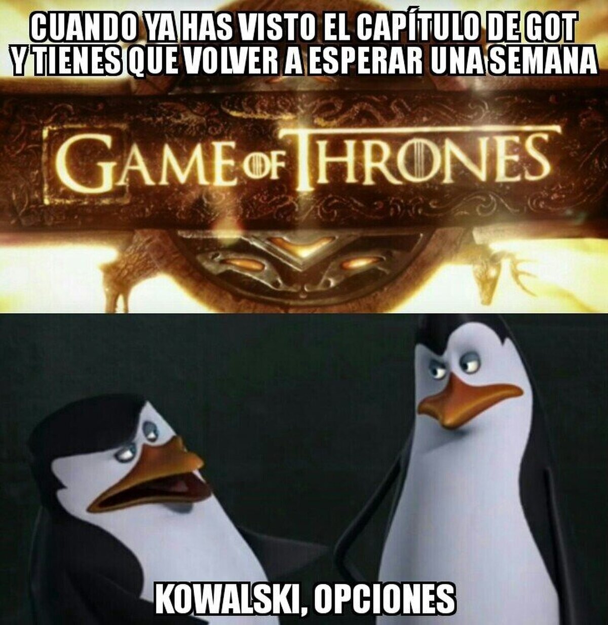 Kowalski, opciones.