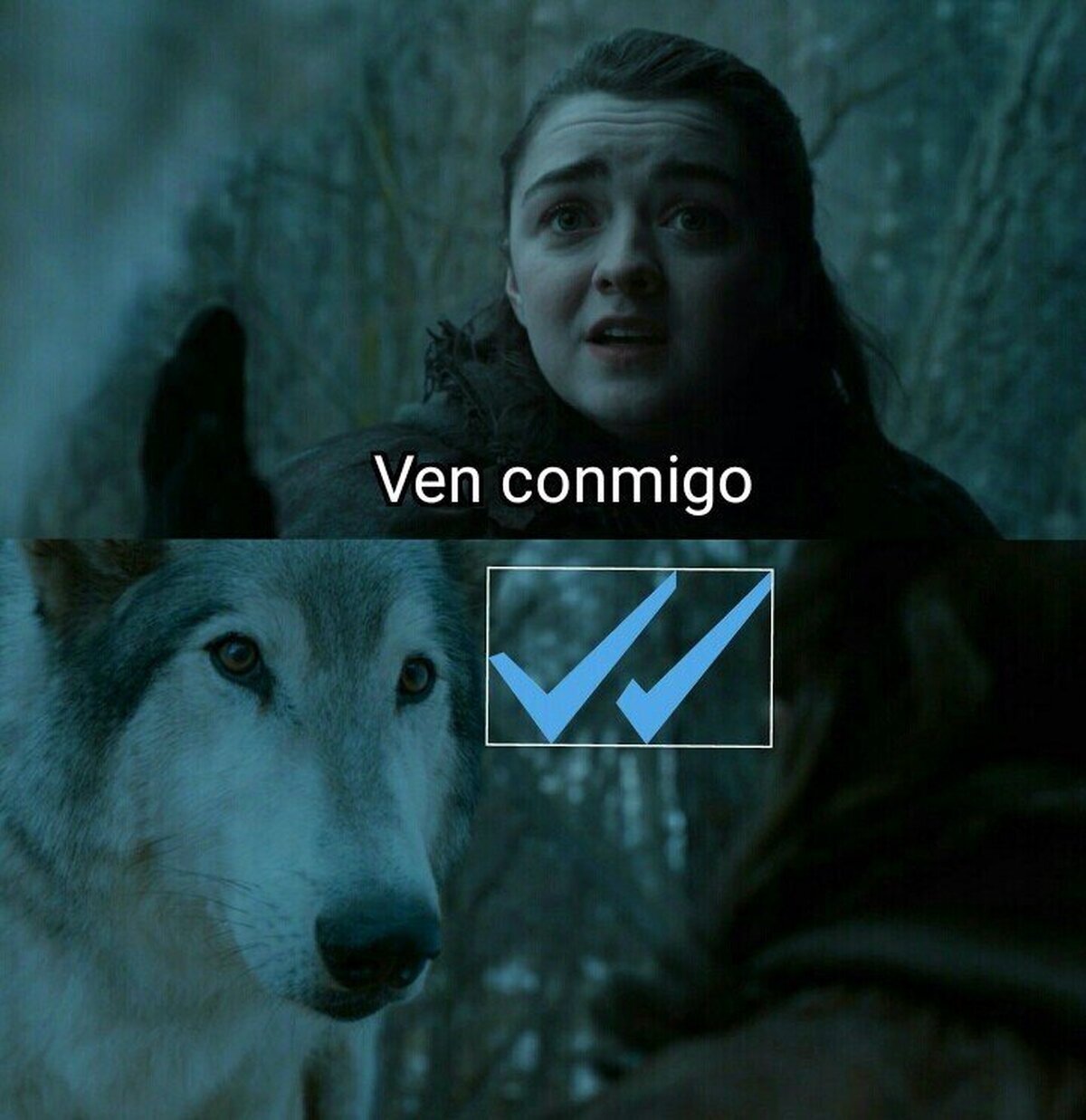 Cómo olvidar cuándo Nymeria dejó en visto a Arya