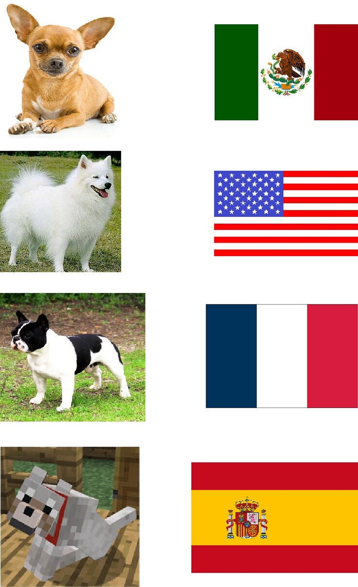 Los perros en países diferentes