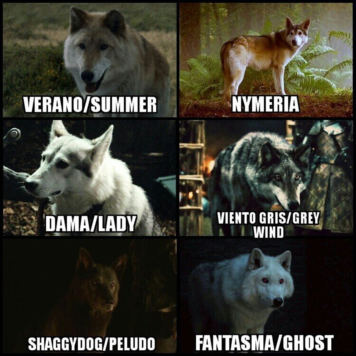 ¿Qué lobo huargo de la Casa Stark es tu favorito?