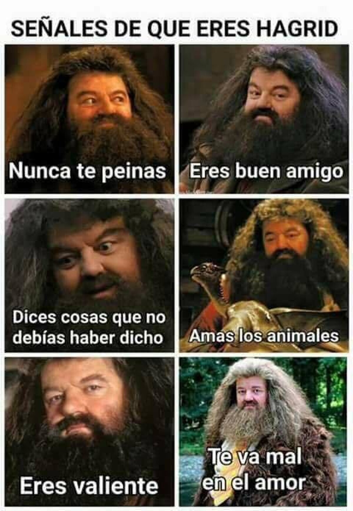 Todos somos Hagrid