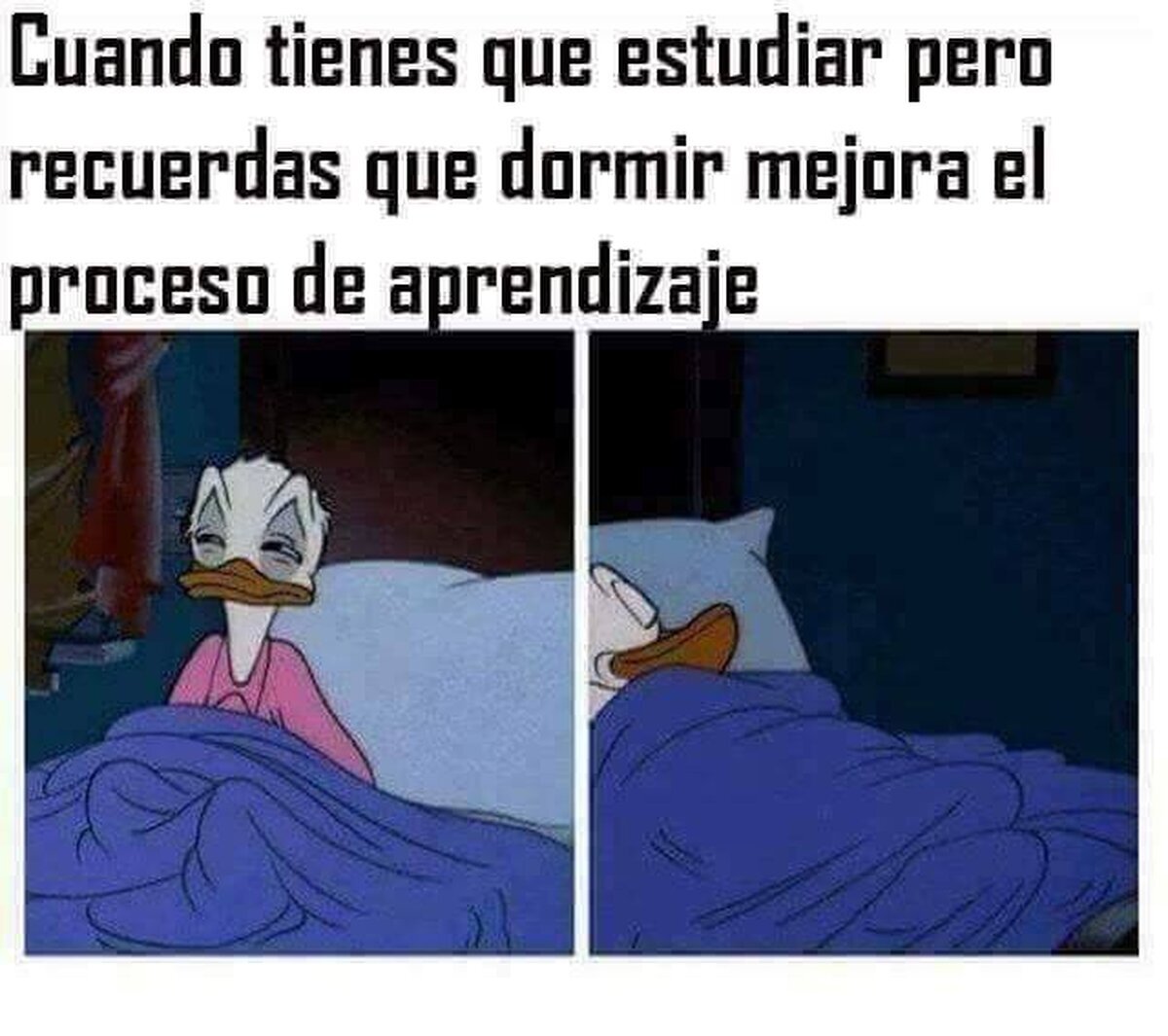 Todo sea por el proceso de aprendizaje
