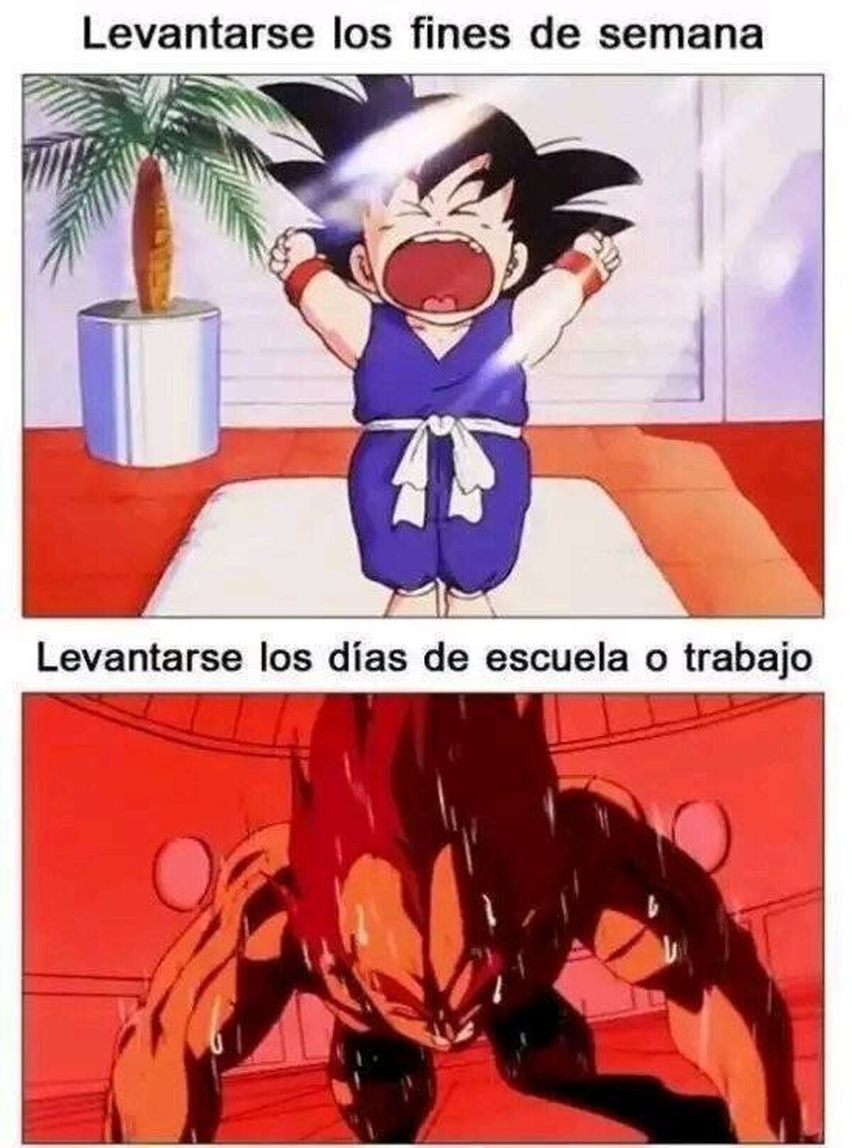 El fin de semana es pura gloria