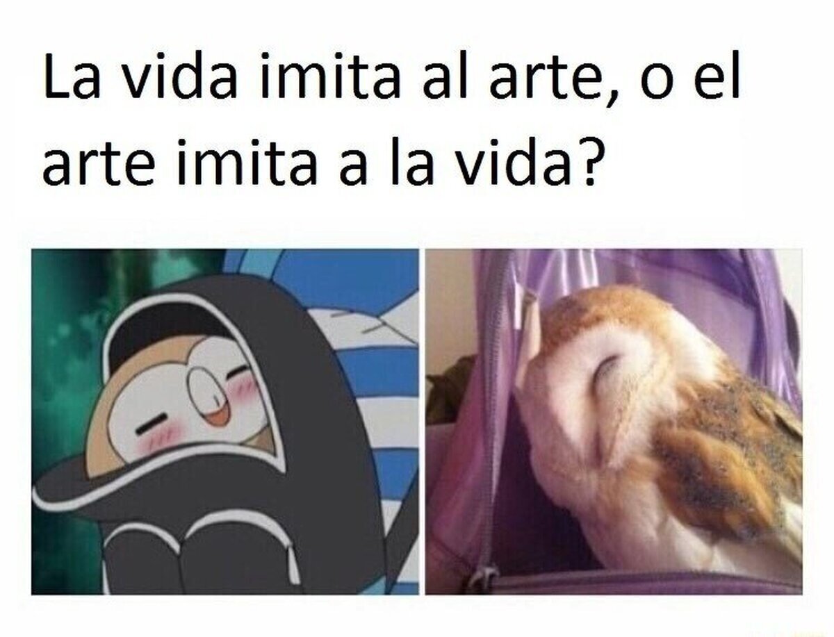 La inspiración en el diseño de rowlet 