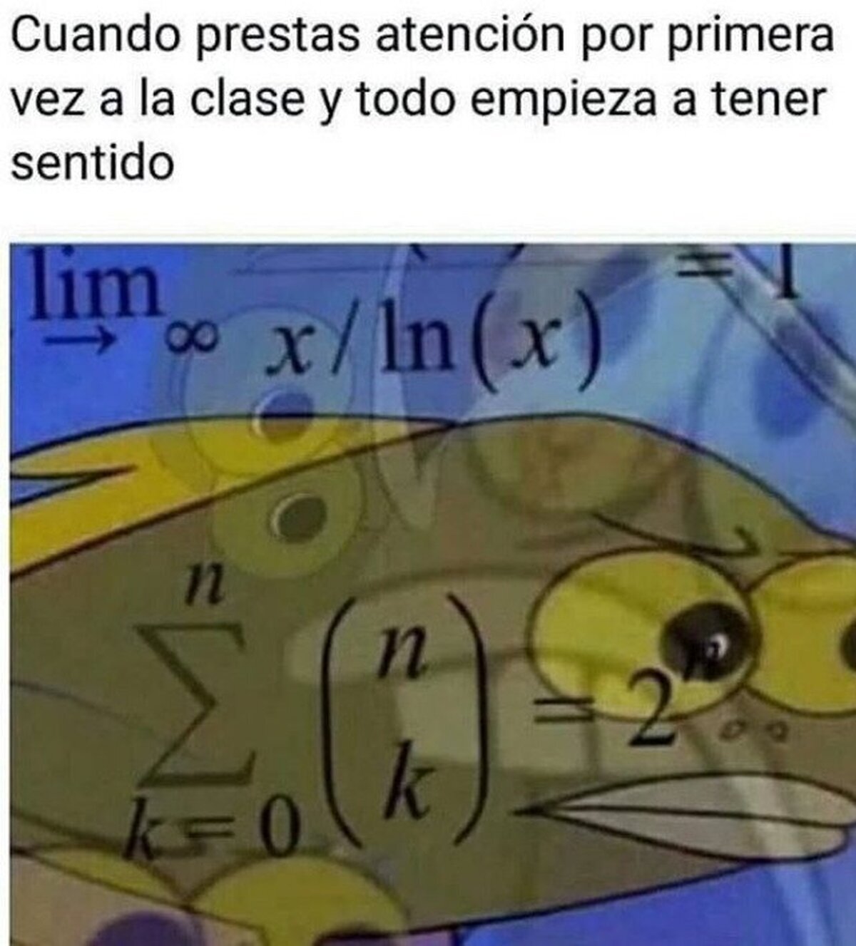 Solo tienes que estar atento un rato