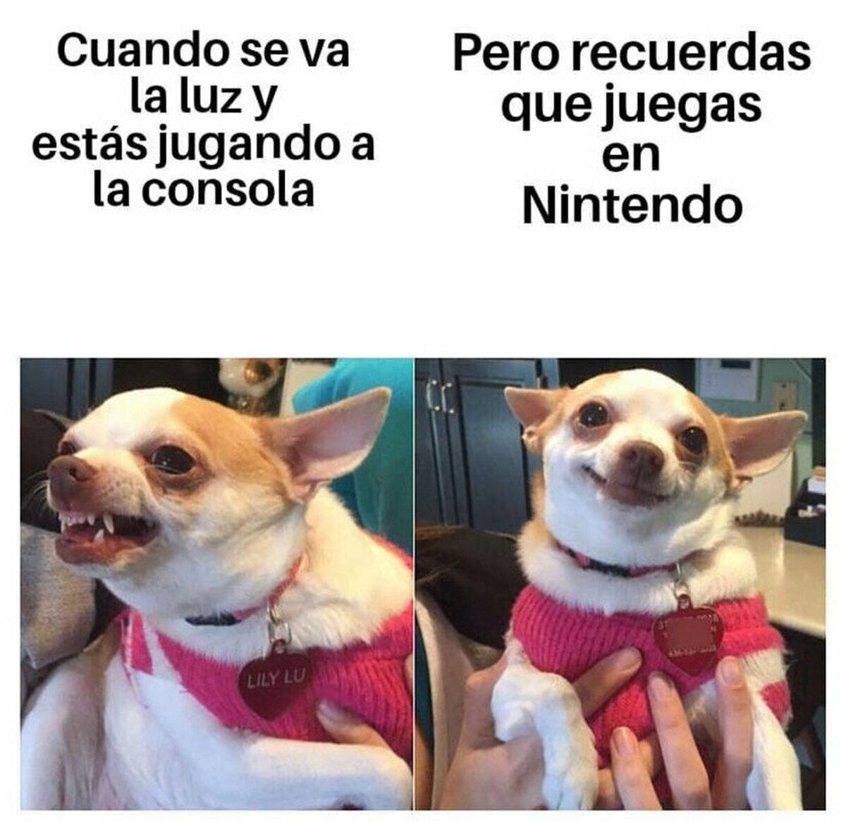 Ventajas de Switch