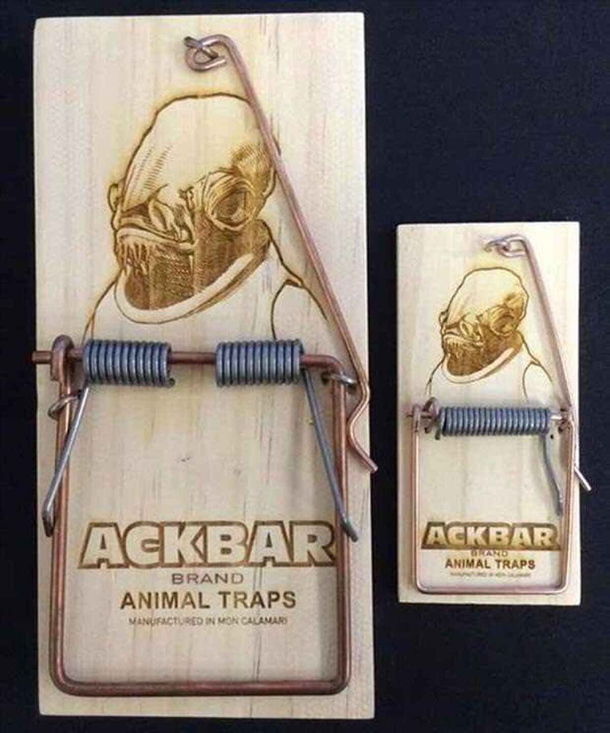 It's a trap! Larga vida al almirante Ackbar