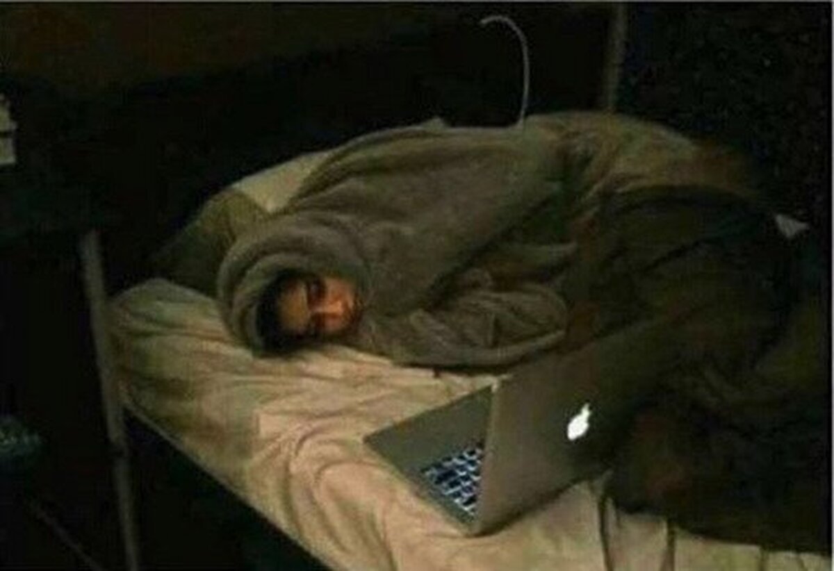 Cuando en la peli salía un perrito y se lo han cargado