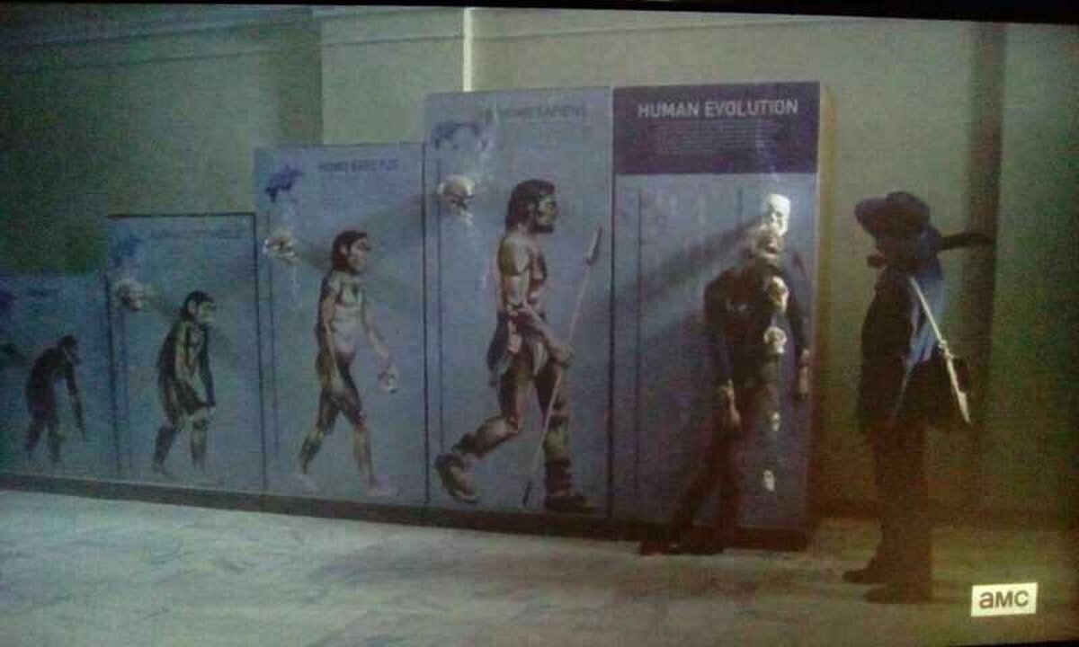 La evolución humana vista por TWD