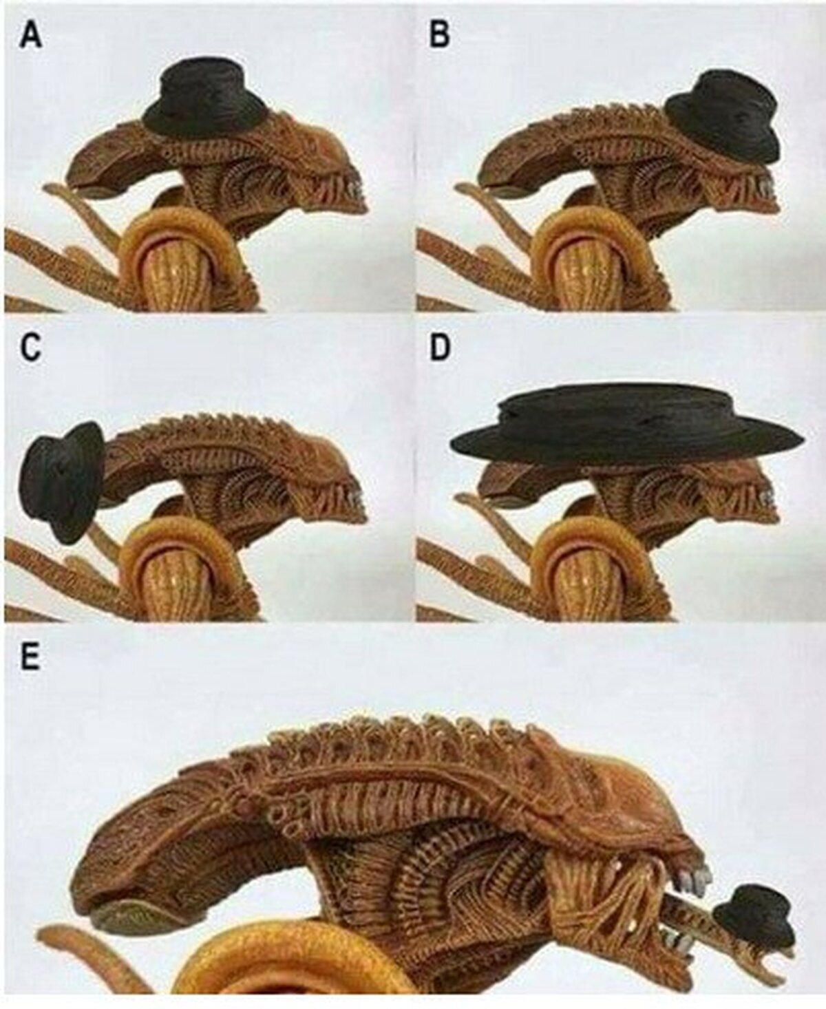 ¿Cómo llevan sombrero los xenomorfos?