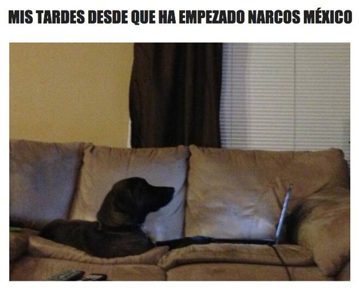 El enganche que llevo que no es normal