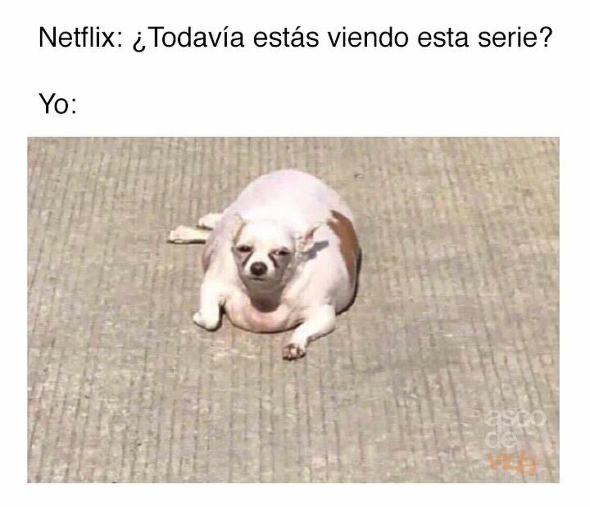 No me hagas sentir mal...
