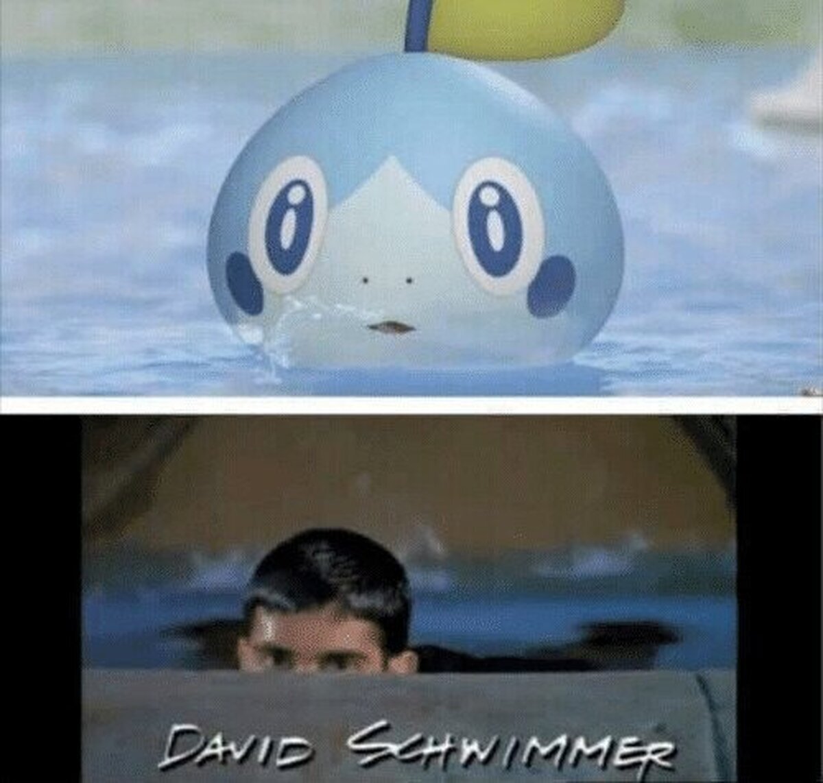 Ya sé que mote ponerle a Sobble