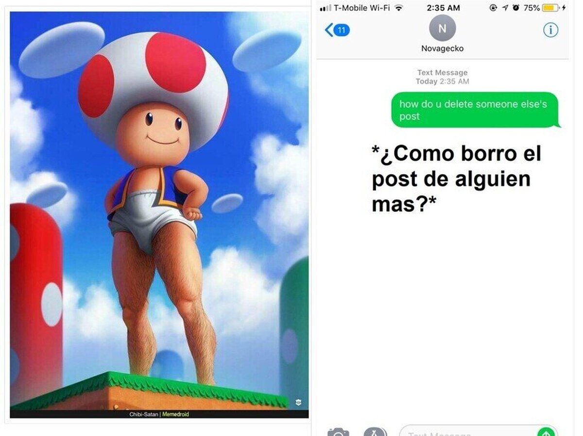 No intentes borrar esta imagen de tus sueños