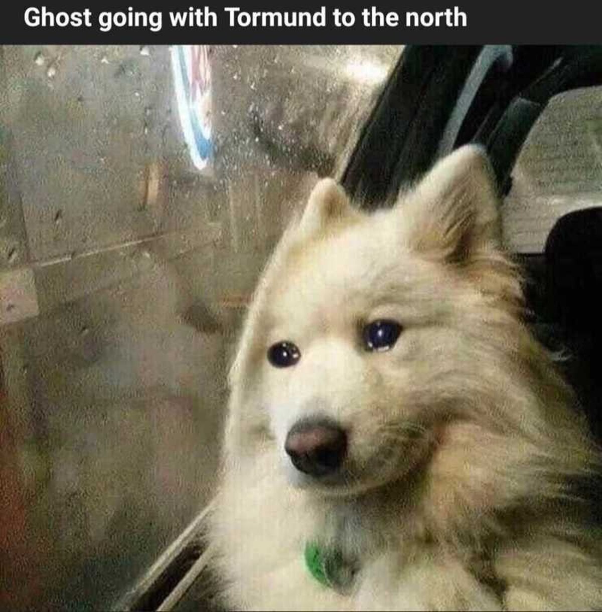 Fantasma acompañando a Tormund al norte
