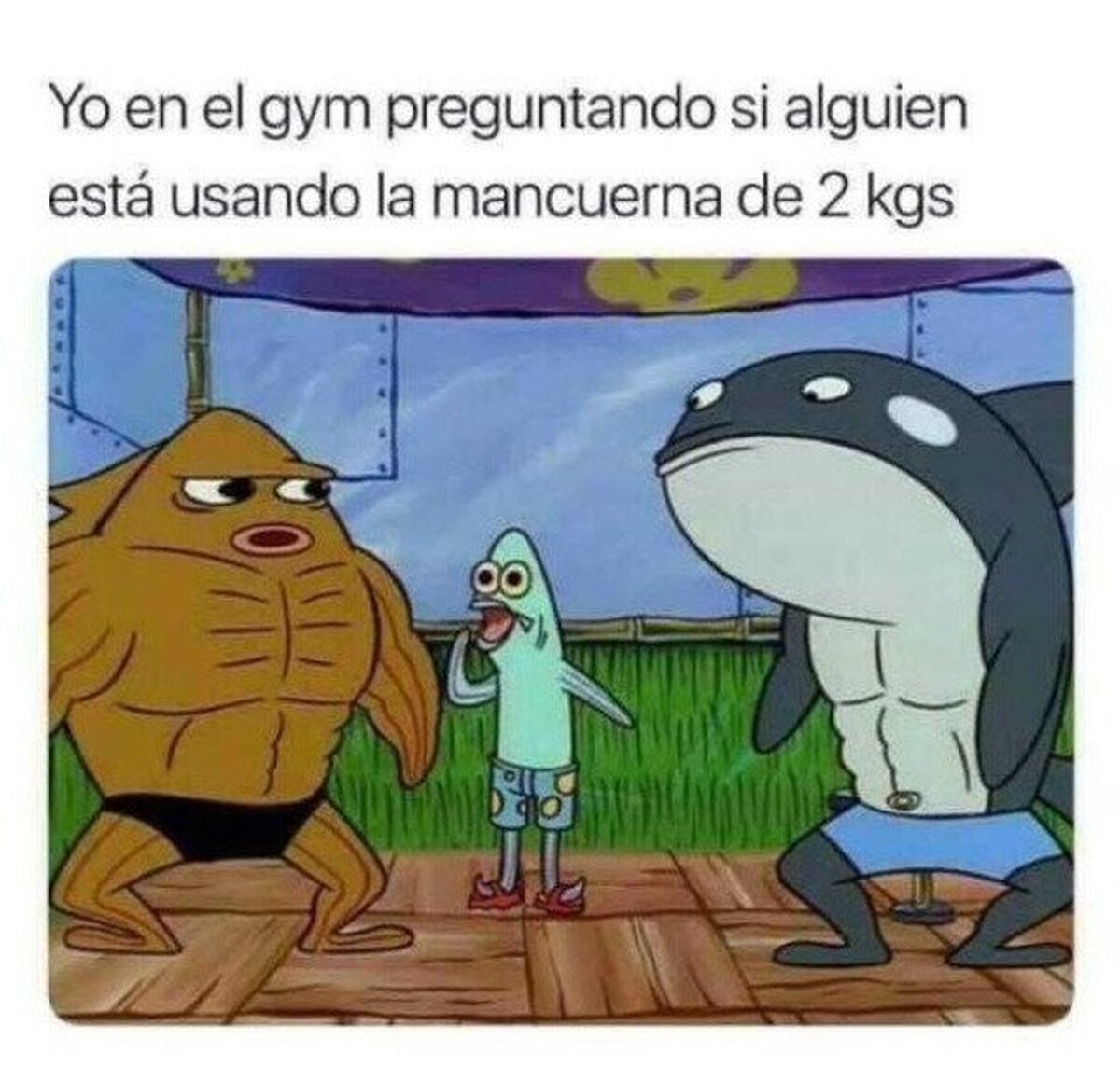 Cada vez que voy al gimnasio