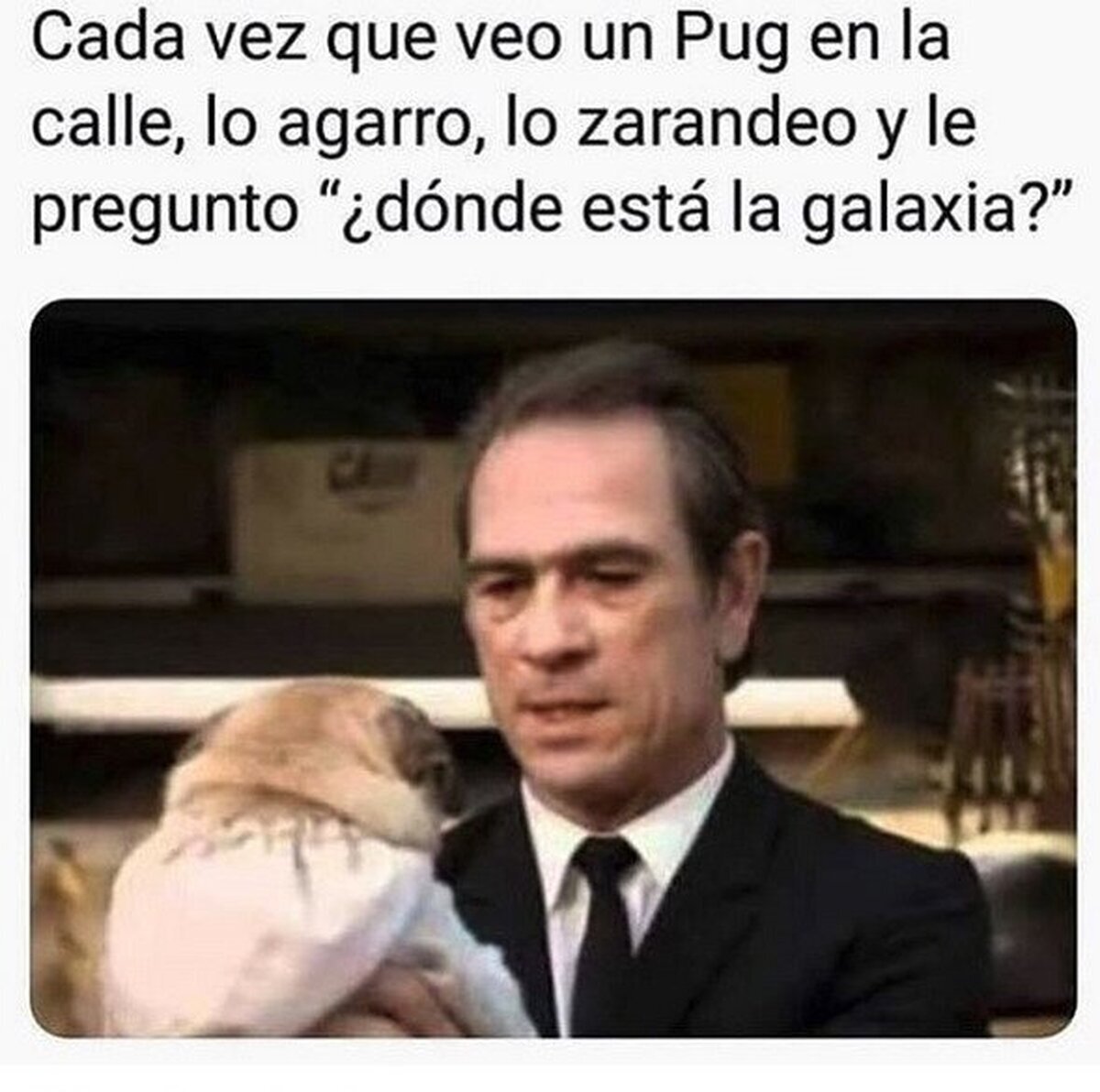 A la dueña del perro no suele gustarle