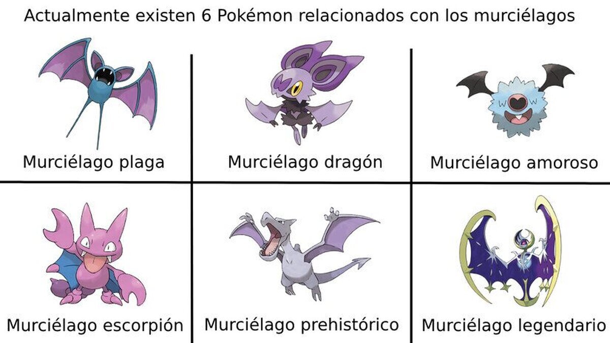La fila superior son murciélagos, la inferior son ''murciélagos''