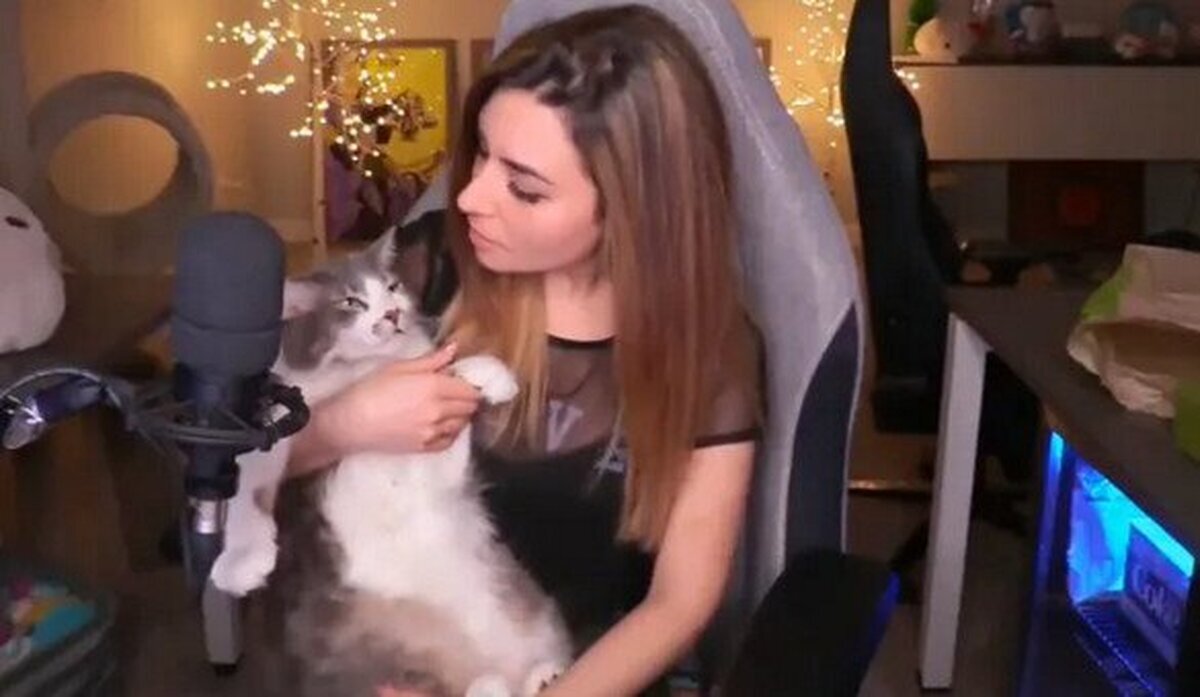 PETA se pronuncia sobre la polémica de la streamer Alinity con su gato