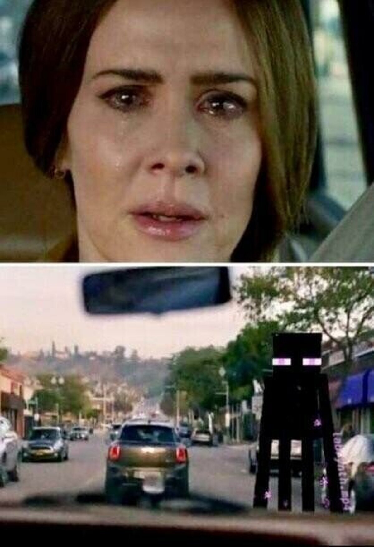 Ahora sabes como se ve el monstruo de Birdbox.