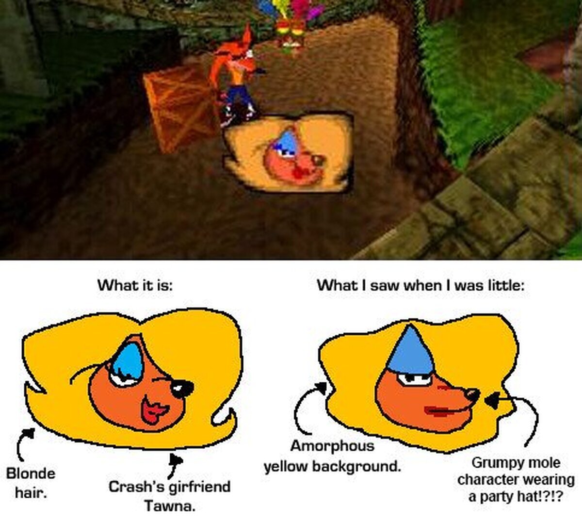 ¿Tawna o un topo con un sombrero de cono ?