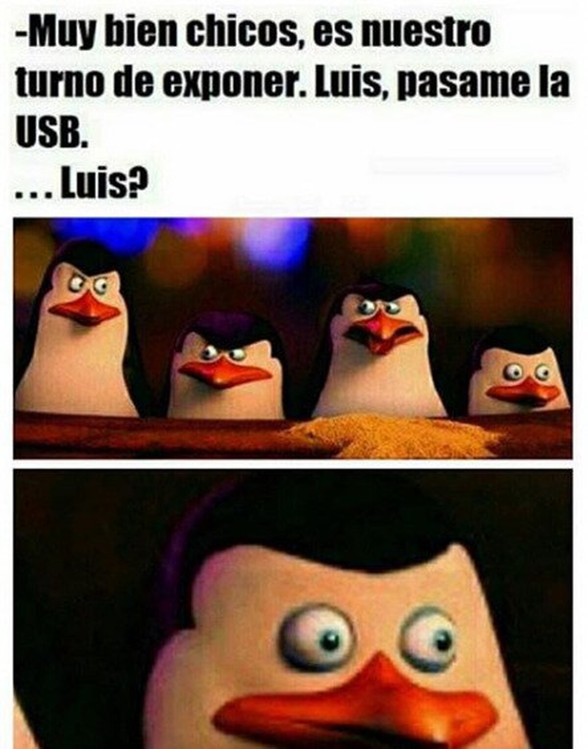 Os dije que no podíamos fiarnos de Luís...