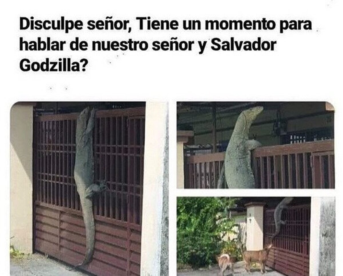 Nuestro salvador