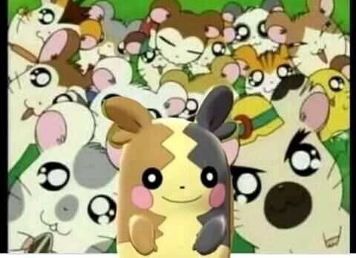 Hamtaro es el nuevo pokemon