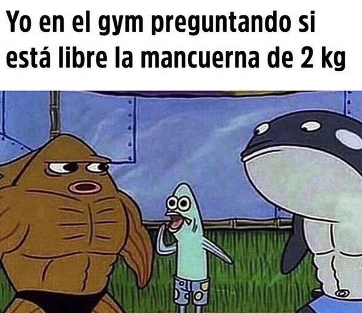 No me canso de hacer el ridículo