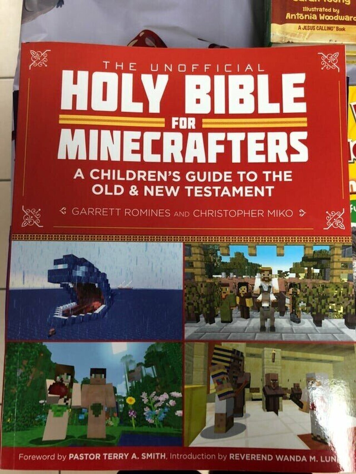 Creo que llevamos esto de ''SERVIDOR CRISTIANO DE MINECRAFT'' un poquito lejos.