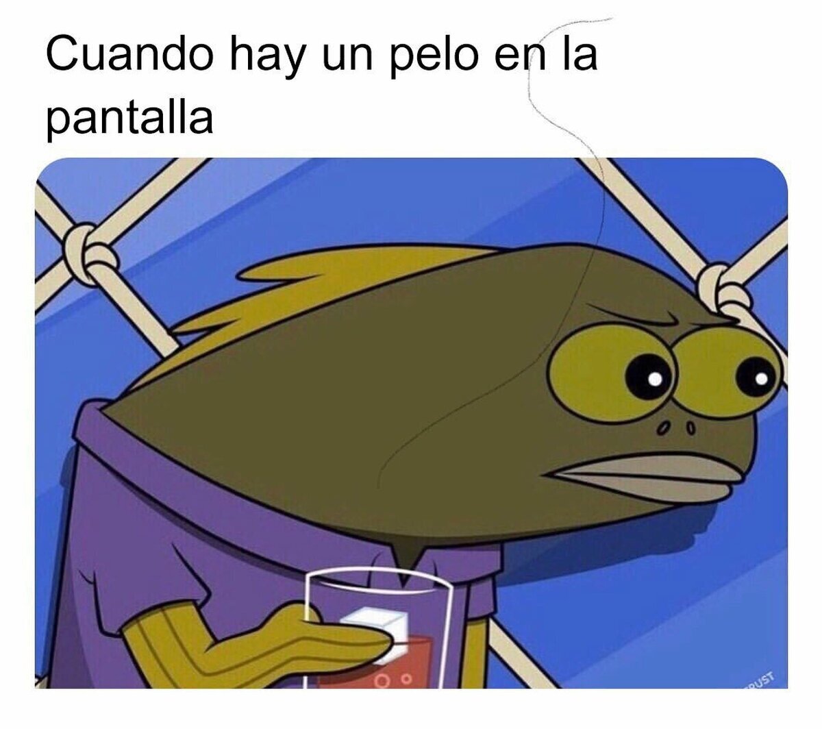 Cuando hay un pelo en la pantalla