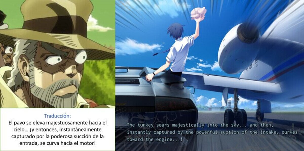 ¿Alguna vez has tratado de detener un avión lanzando un pavo congelado?