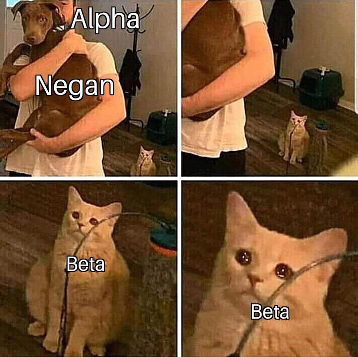 El pobre Beta se está poniendo celoso