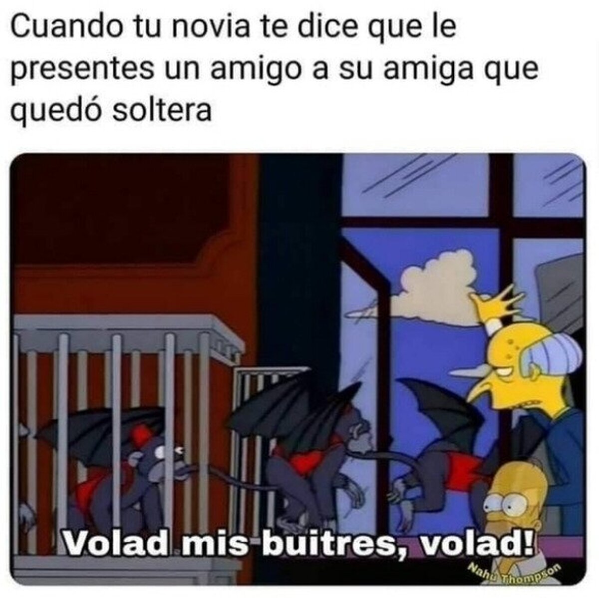 Ahí los tienes revoloteando